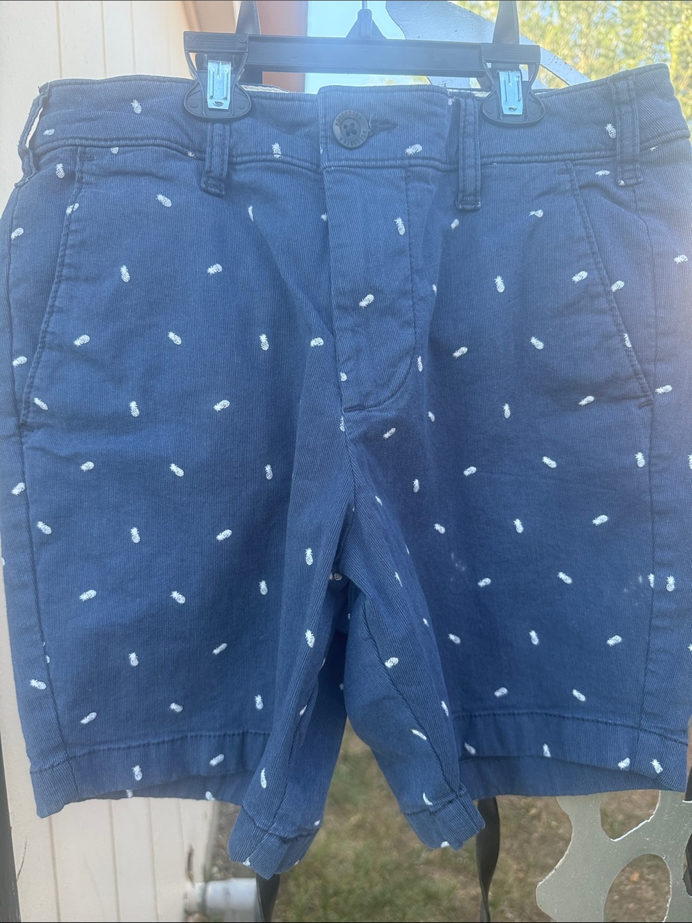 Hollister Navy Blue Embroidered Dot Flat Front Shorts